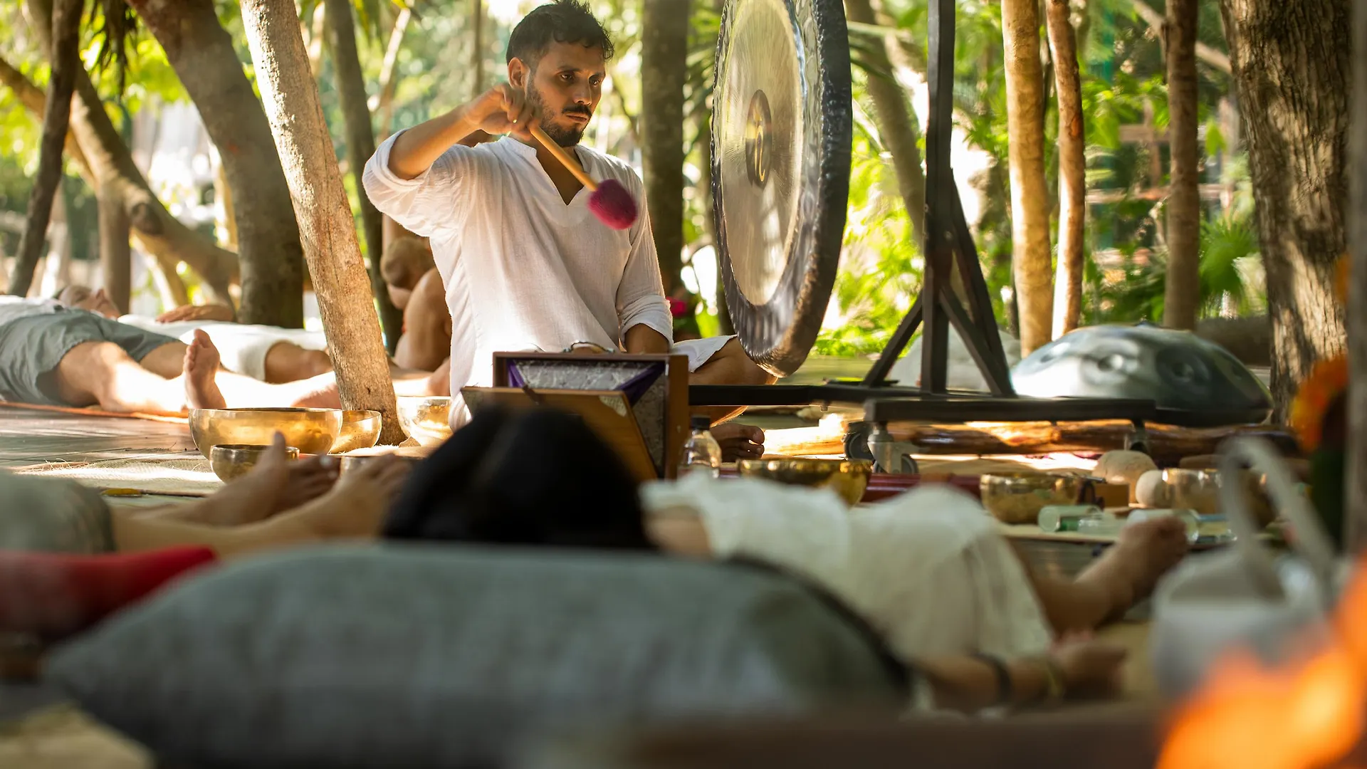 Palmaia The House Of Aia All Inclusive Wellness Resort Los Dos Compadres Mexico